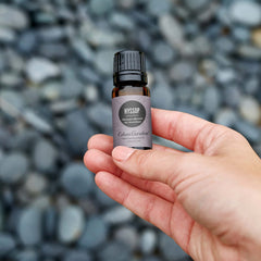 Edens Garden Hyssop diffuser aroma image showcasing a fresh herbal scent.