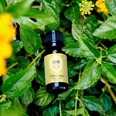 Edens Garden Lemon Around The World diffuser with steam releasing bright scent