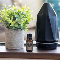 Edens Garden Linaloe Wood diffuser session for a serene home atmosphere.