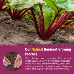 beet root powder packets designed for daily on-the-go use