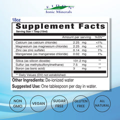 Eidon Mineral Wellness Support drops closeup for easy dosing.