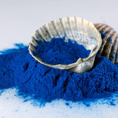 Ellie's Best blue spirulina powder is odorless, blending cleanly into drinks.