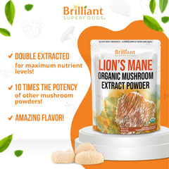 Ellie's Best Lions Mane powder undergoing double extraction for higher potency.