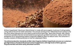 Ellie's Best double extracted mushroom powder close-up for concentrated potency.