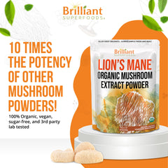 Ellie's Best Lions Mane powder scoop for precise daily dosing.