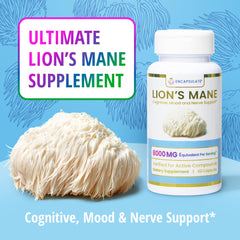 Encapsulate Lion’s Mane capsules poured into water illustrate easy daily dosing.
