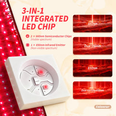Eniosvar belt demonstrates large coverage area for back and torso therapy