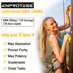 Enprotess NMN packaging on table for daily wellness routine.
