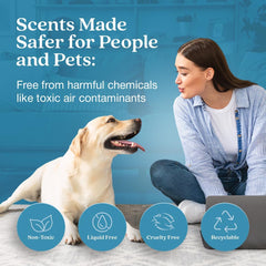 Enviroscent Scent Stix refill closeup highlighting non-toxic, long-lasting Spring Water & Lotus aroma.