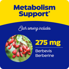 Enzymedica Berberine Phytosome packaging front, clean design communicates quality.