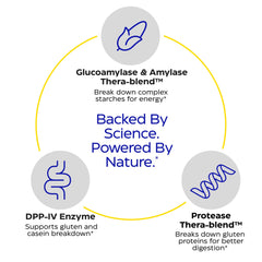 Enzymedica GlutenEase diagram visualizing gluten and casein breakdown assistance.