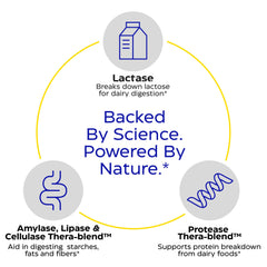 Enzymedica Lacto capsules in hand for on-the-go dairy relief