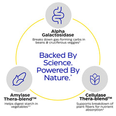 Graphic of VeggieGest enzyme blend illustrating breakdown of fibers and starches.