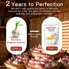 Closeup of EOQIFJM aged garlic extract capsules showing odorless formula