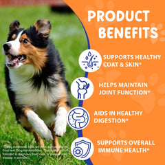 EQEIYICS liquid dog collagen drops enables simple daily dosing.
