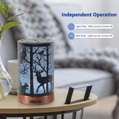 EQUSUPRO ultrasonic diffuser operates quietly, ideal for sleep or work.