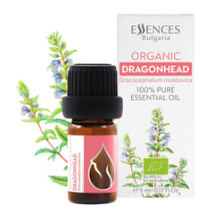 Essences Bulgaria Moldavian Dragonhead oil bottle ready for aromatherapy sessions.