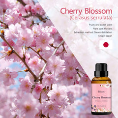 ESSLUX Cherry Blossom Oil label closeup showing purity and origin