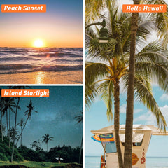 ESSLUX Hawaii Chill Surf 10ml oil for room sprays and humidifier freshness.