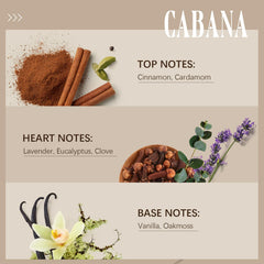 Ethlauff Cabana diffuser oil label indicates luxury ingredients and premium scent.