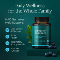 Etta Vita NAC gummies ingredients highlight natural flavor and plant-based, sugar-free formulation