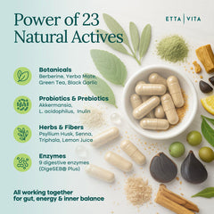 Etta Vita Probiotics Akkermansia bottle supports gut balance and nutrient absorption.