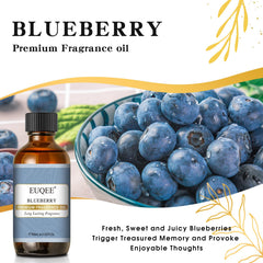 EUQEE Blueberry fragrance oil diffuser-ready aroma for room ambiance