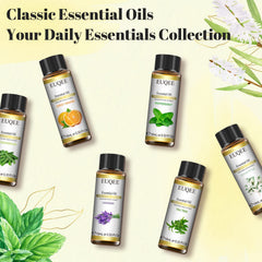 EUQEE essential oils in a diffuser scene for calming ambiance