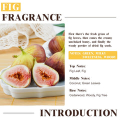 EUQEE Fig Fragrance Oil diffuser use for calming room ambiance.