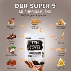 EverEra 10-mushroom blend ingredients jar highlighting quality extracts and flavor potential.