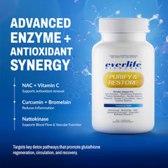 Everlife NAC Quercetin Bromelain capsules illustrate liver-support and circulation benefits.