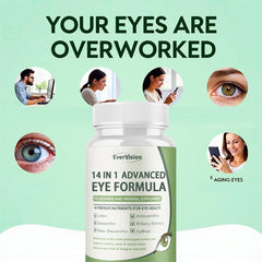EverVision daily visual support scene; ideal for long work sessions and reading.