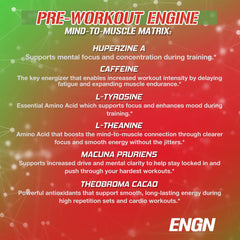 EVL ENGN ingredients close-up highlighting tyrosine, agmatine, and mucuna