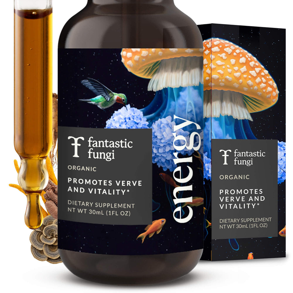 Fantastic Fungi Cordyceps tincture dropper bottle showing caffeine-free daily energy support.