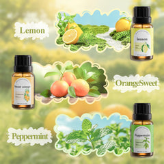 Fashome Sandalwood essence oil provides warm woody notes for meditation spaces