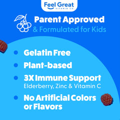 Feel Great Vitamin Co. Elderberry Gummies for Kids ingredients-visual highlights elderberry extract.