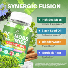 FIDERNIC Sea Moss Gummies chewy texture for easy daily intake.
