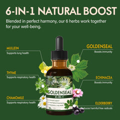 FIOLIVAD respiratory health drops with mullein and thyme.