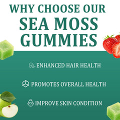 FITactic Sea Moss Gummies bottle with resealable cap for travel-friendly wellness.
