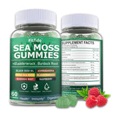 Fitfido Irish Sea Moss Gummies Raspberry bottle highlights immune-supporting, sugar-free wellness