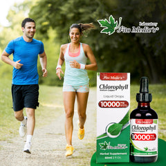 FITO MEDIC'S Lab mulberry leaves image highlighting natural source for chlorophyll extract.