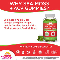 Flamingo Sea Moss Gummies ingredients label shows ACV bladderwrack burdock root