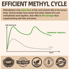 Fleamart L Methylfolate capsules closeup highlighting high absorption