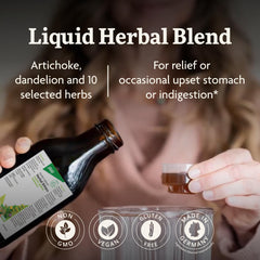Floradix Gallexier ingredients artichoke, dandelion, turmeric, ginger for natural digestion support