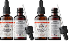 Florida Herbs Angelica tincture bottle for daily herbal routines and convenient dosing.