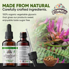 Florida Herbs Astragalus tincture dropper in bottle for convenient daily dosing.