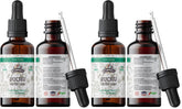 Florida Herbs Buchu Tincture bottle on countertop, ideal for daily organic supplement