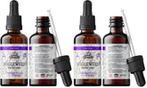 Florida Herbs Bugleweed Tincture bottle amber, ideal for daily herbal use.