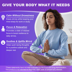 Flyrocer L-Theanine Gummies two-pack view suitable for sharing.