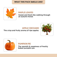 Folkulture pumpkin spice oil bottle featured for warm diffuser aromas.